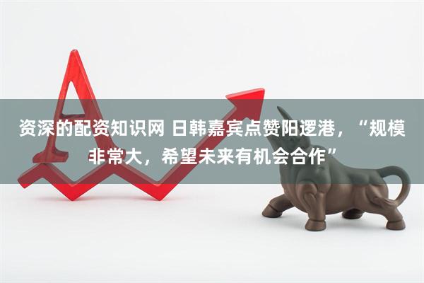 资深的配资知识网 日韩嘉宾点赞阳逻港，“规模非常大，希望未来有机会合作”