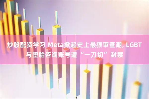 炒股配资学习 Meta掀起史上最狠审查潮, LGBT与堕胎咨询账号遭 “一刀切” 封禁